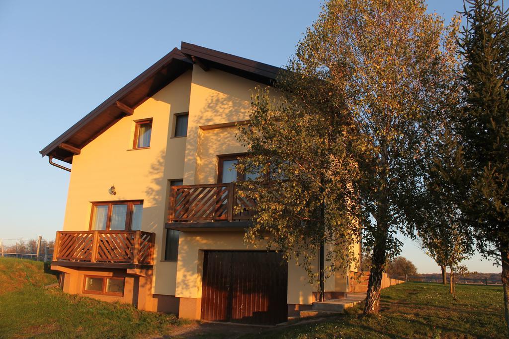 Rooms & Apartment Vinia Bjelovar Eksteriør billede